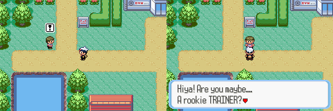 Ruby-Sapphire Petalburg City 1
