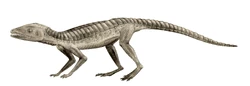 Hoplosuchus