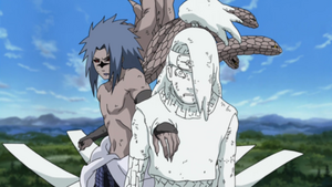 http://images1.wikia.nocookie.net/__cb20090827202306/naruto/images/thumb/f/fd/Clay_Clone.PNG/300px-Clay_Clone.PNG
