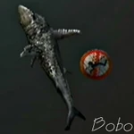 Sharkking