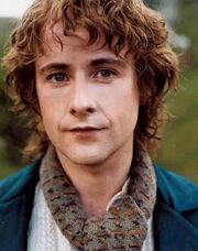 Pippin 1