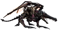 Omega Ridley rip