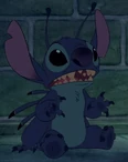 626 Stitch