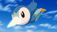 http://images1.wikia.nocookie.net/__cb20090830115018/es.pokemon/images/thumb/5/5d/P10_Piplup_utilizando_picotazo.png/190px-P10_Piplup_utilizando_picotazo.png