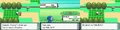 Diamond-Pearl Route 202 1.png