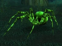 Green Recluse