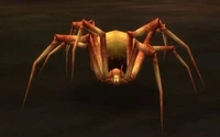 Leech Stalker