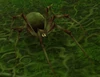 Spawn of Mar'li