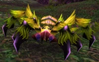 Image of Webwood Silkspinner