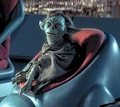 Yaddle in chair.jpg