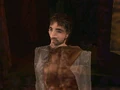 Birchhead.jpg
