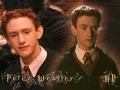 Percy Weasley.jpg