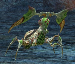 Opiliones