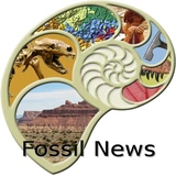Paleo news logo