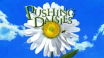 Pushing Daisies