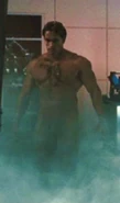 T800burneeeWSe