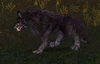 Bloodsnout Worg