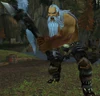 Dragonflayer Invader
