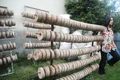 Biomass briquettes.jpg