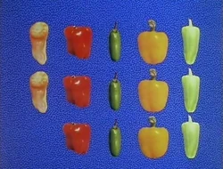 DancingPeppers