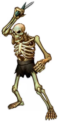 Skeleton