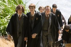 Maraudeurs