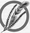 PhoenixdownFFV.jpg