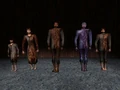 T2pagans.jpg