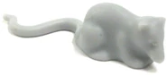 Rat