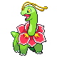 Meganium HGSS