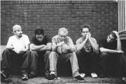 Linkin park sin Phoenix