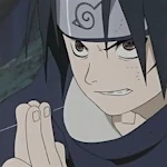 Hand Seal