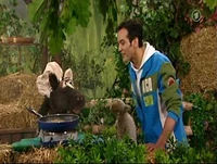 Folge2500-4