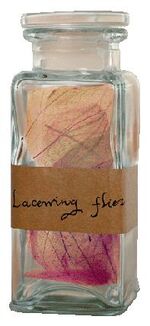 Stewed lacewing flies