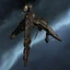 Hawk
