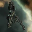 Imicus