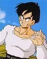 Yamcha4