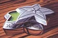Star Grass Salve.JPG