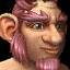 Gnomi