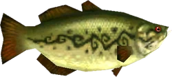 Hyrule Bass