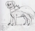 Algor(I Think).jpg