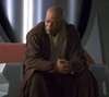 Mace council