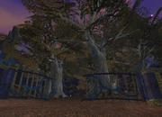 Boughs of Tenderness.jpg