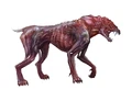 Feral Idea 1