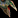 IconSmall Pterrordax.gif