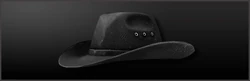 250px-Cowboy_Hat_Main_Image.jpg