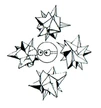 Star-Pointer