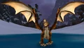 Bronze Drake2.jpg