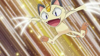 Meowth usando arañazo para preparar los fideos