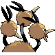 Dodrio espalda G4